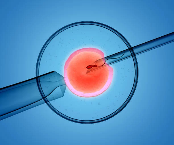 Imagen destacada de Diálogo Bioético | “Aspectos éticos en medicina reproductiva”