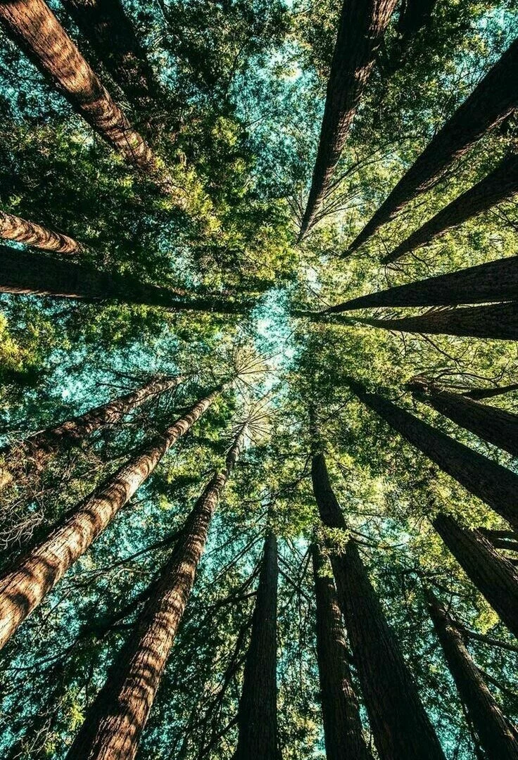 Imagen destacada de Magíster en Derecho Ambiental