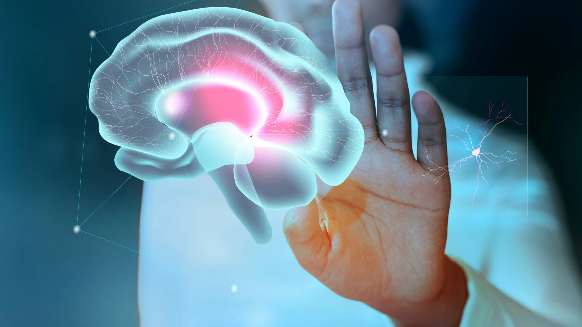 Imagen destacada de Diplomado en Neurorrehabilitación del adulto. Desde la Etapa Aguda hasta la Reinserción