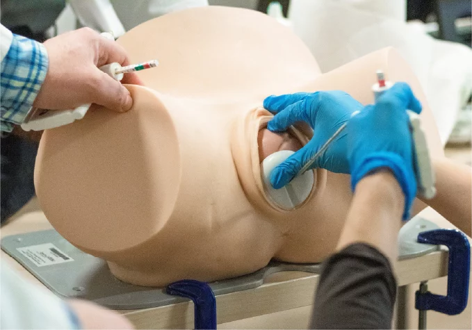 Imagen destacada de IX Curso y Taller Trauma Obstétrico del Piso Pélvico: Diagnóstico, Prevención y Manejo.
