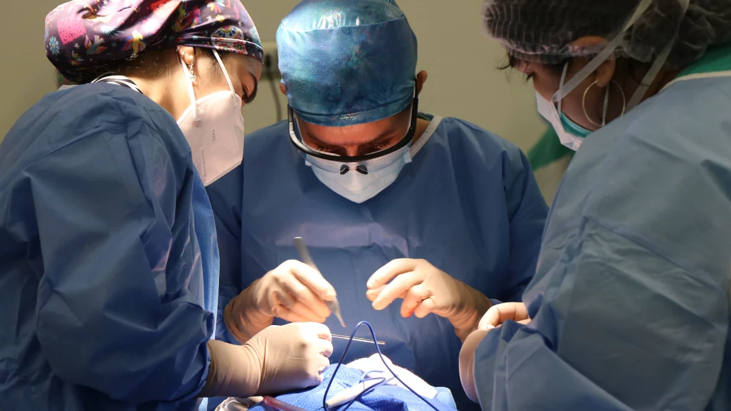 Imagen destacada de Postítulo de Especialidad Odontológica en Cirugía y Traumatología Bucal y Maxilofacial