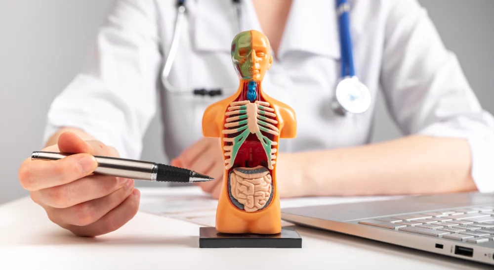 Imagen destacada de Especialidad médica en Medicina Interna