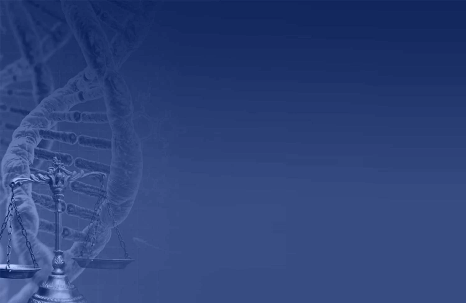 Imagen destacada de IX Seminario Internacional de Bioderecho