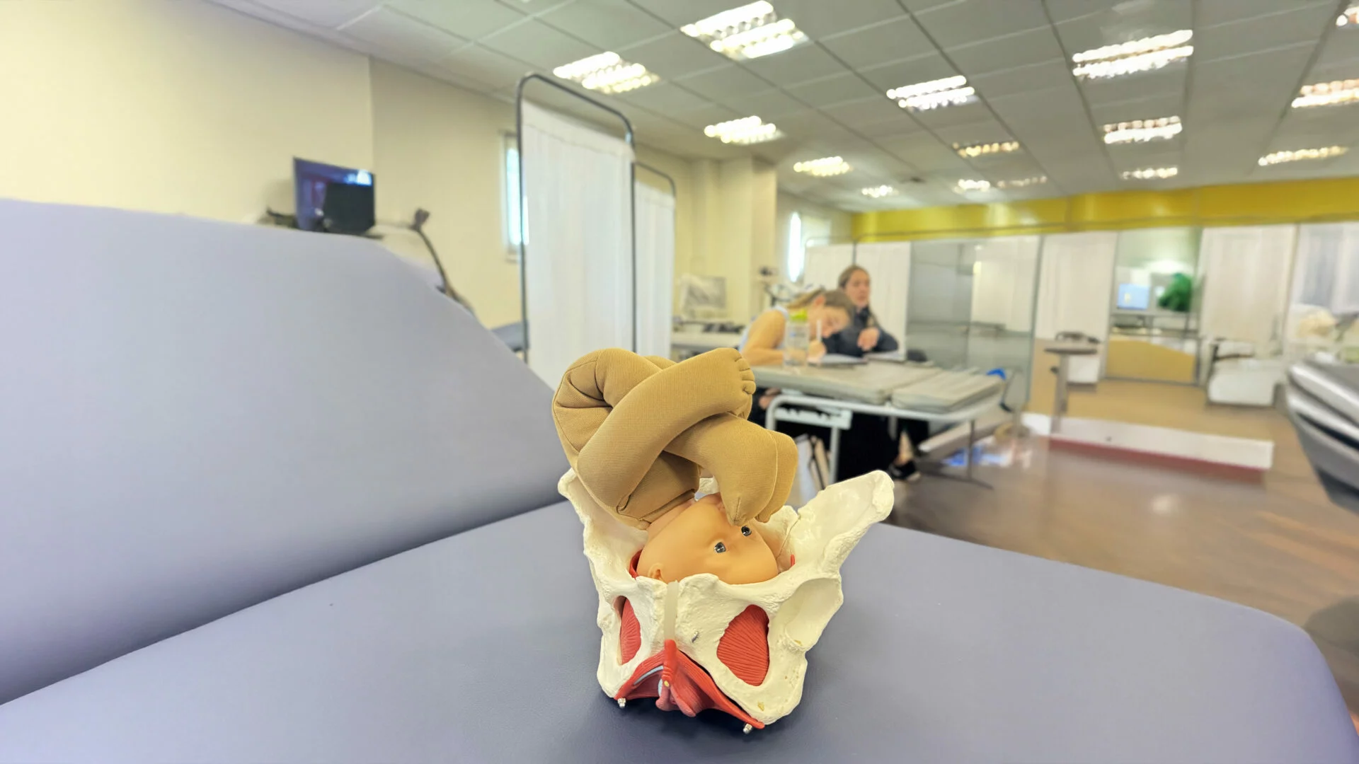 Imagen destacada de Diplomado Kinesiterapia en Embarazo y Post Parto