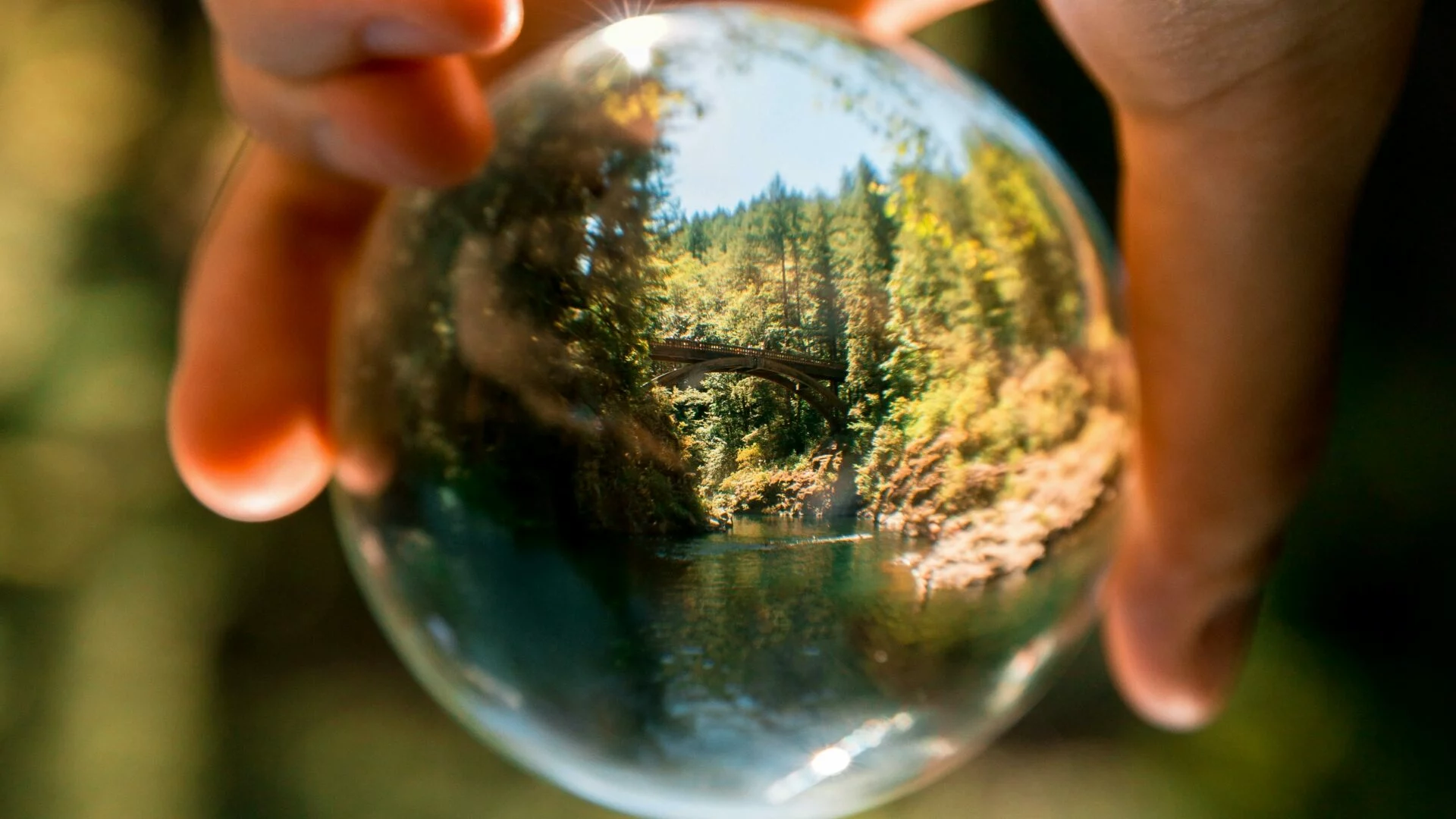 Imagen destacada de Diplomado en Comunicación Estratégica y Sostenibilidad